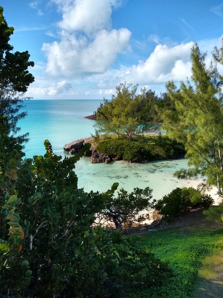 One of the options for international travel after COVID is Bermuda. Sounds good to us! 