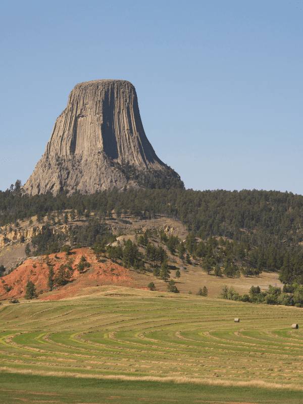 Wyoming's Devil's Tower is an iconic location to visit on your COVID vacation in the US. 