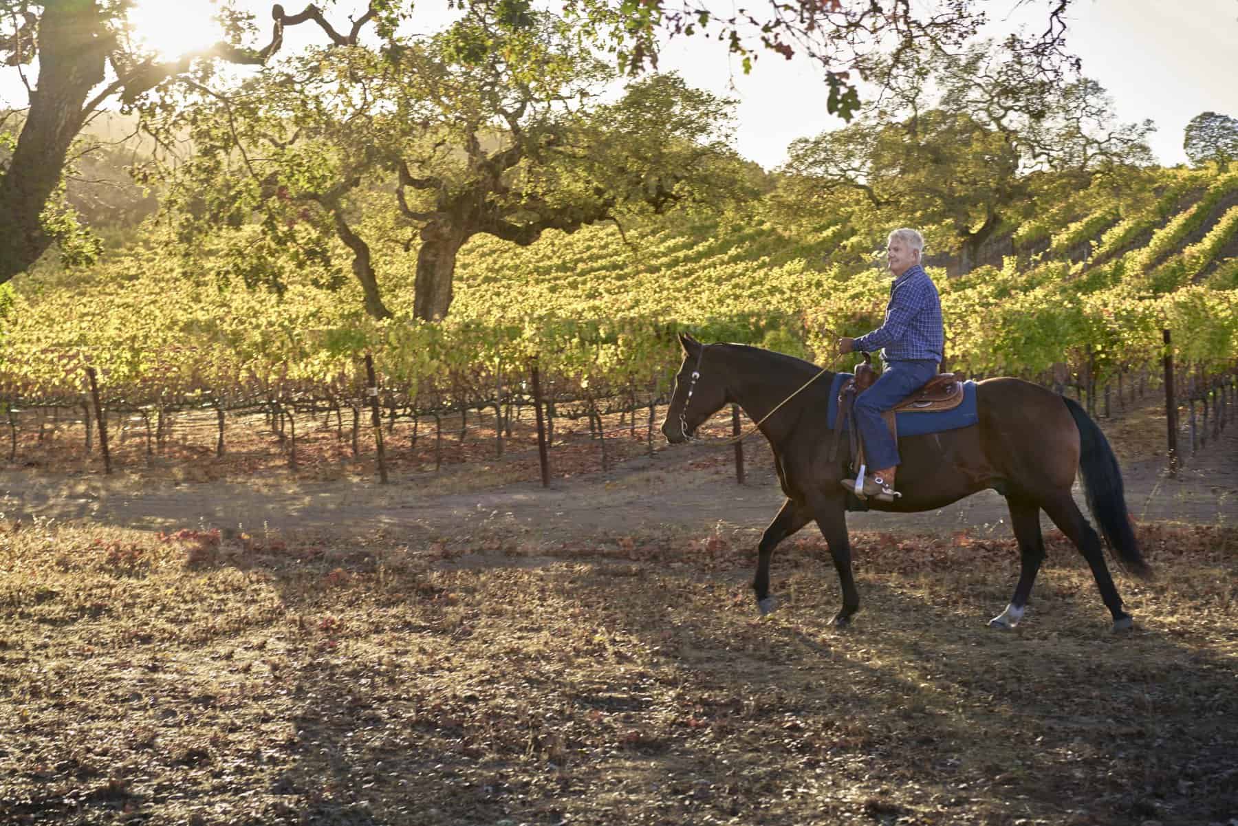 Winemaker of Etude Wines rides a horse along the vineyard.